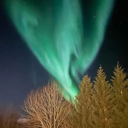 Casa Aurora * Tromsø